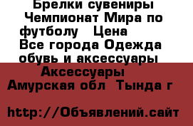 Брелки-сувениры Чемпионат Мира по футболу › Цена ­ 399 - Все города Одежда, обувь и аксессуары » Аксессуары   . Амурская обл.,Тында г.